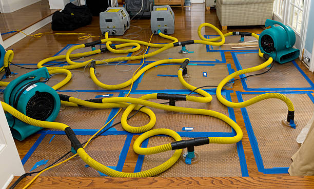 Professional Flood Damage Restoration technician working in Avondale, CO
